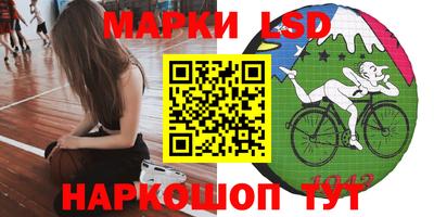 СК Донецк