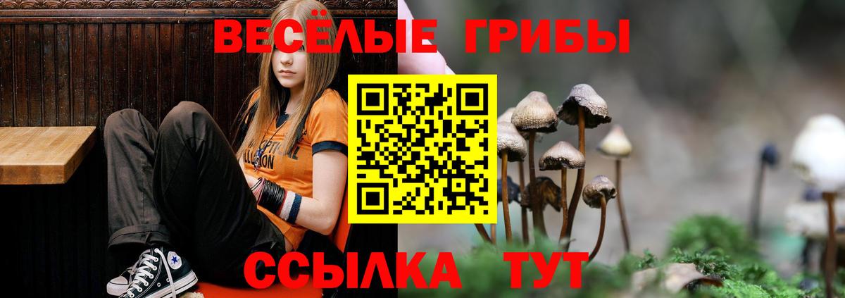Лосино-Петровский  Галлюциногенные грибы Cubensis  Псилоцибиновые грибы прущие грибы  Вход с VPN 